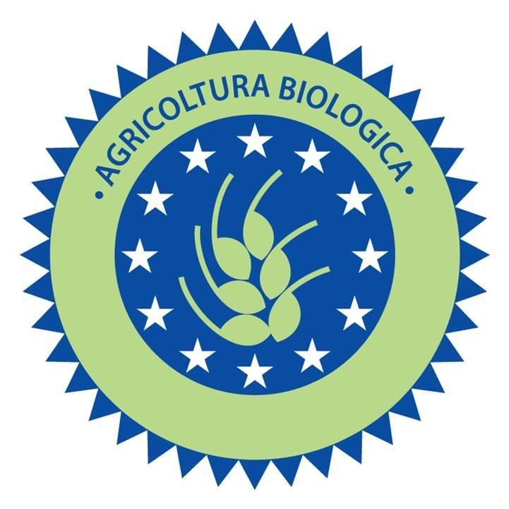 فيلا مانشانوفي Fattoria Poggio Foco المظهر الخارجي الصورة