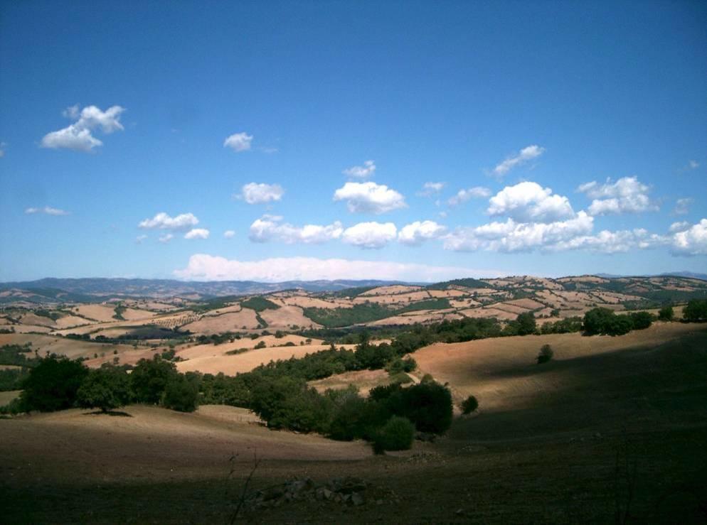 فيلا مانشانوفي Fattoria Poggio Foco المظهر الخارجي الصورة