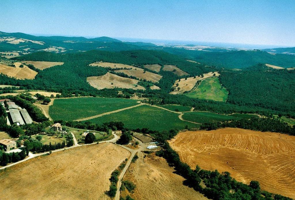 فيلا مانشانوفي Fattoria Poggio Foco المظهر الخارجي الصورة