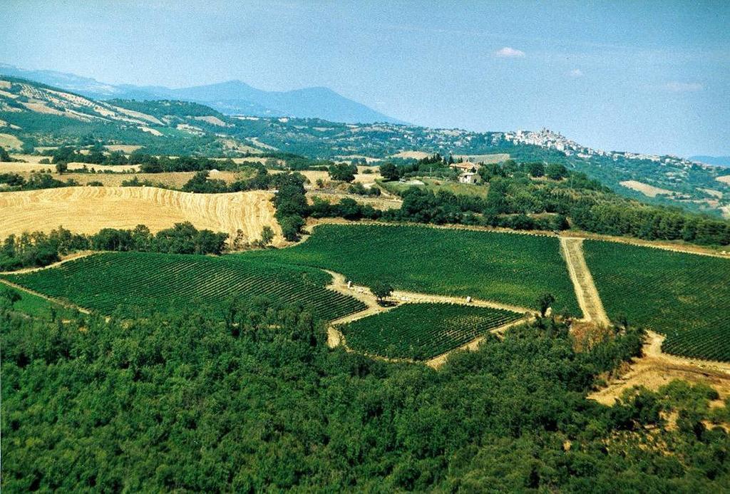 فيلا مانشانوفي Fattoria Poggio Foco المظهر الخارجي الصورة