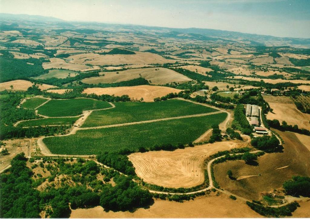 فيلا مانشانوفي Fattoria Poggio Foco المظهر الخارجي الصورة